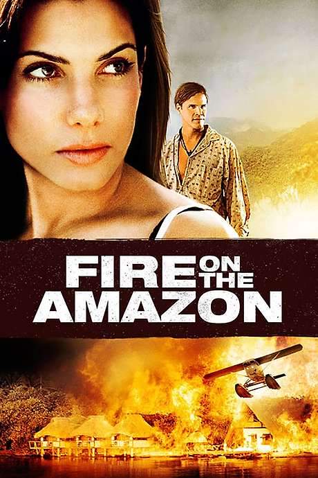Fire on the Amazon
